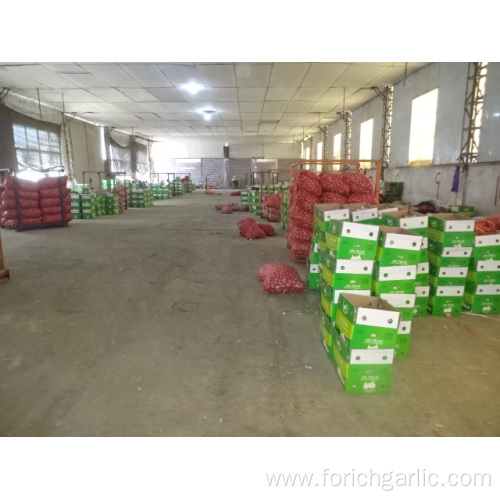 Normal White Garlic From Jinxiang For Export